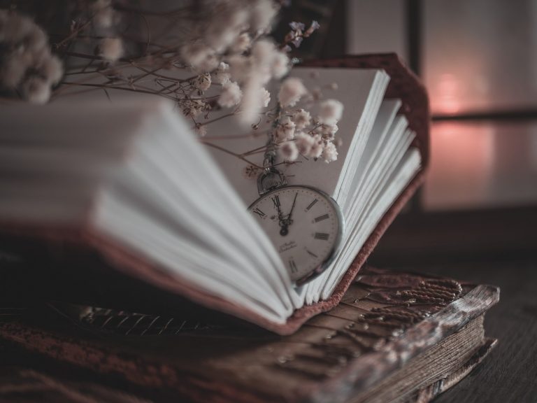 Lire la suite à propos de l’article la roue de l’année