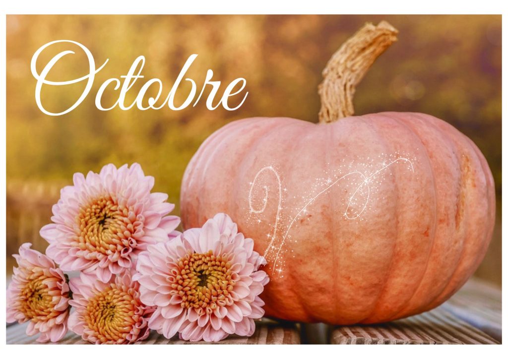Lire la suite à propos de l’article Octobre…