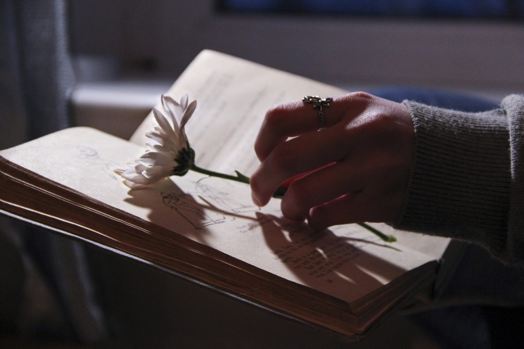 Lire la suite à propos de l’article Grimoire de sorcière