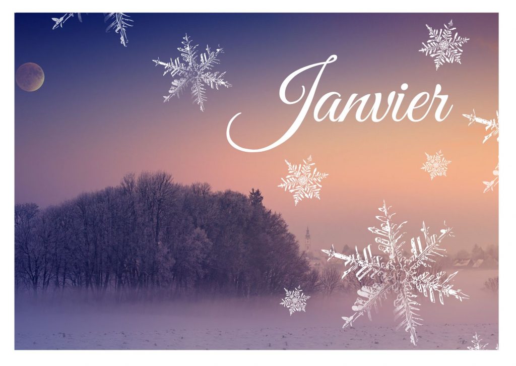 Lire la suite à propos de l’article Janvier