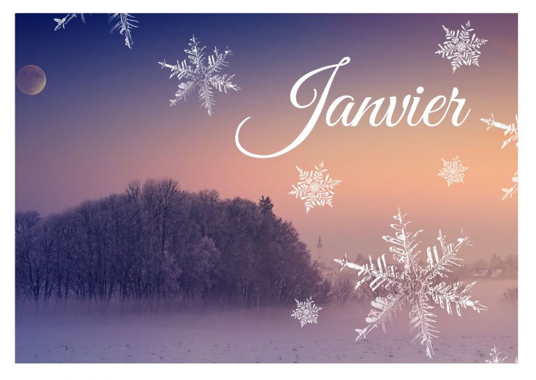 Lire la suite à propos de l’article Janvier